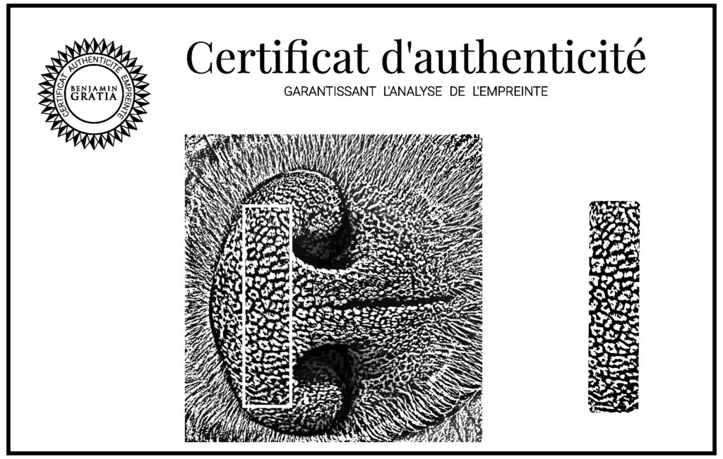 certificat authenticite